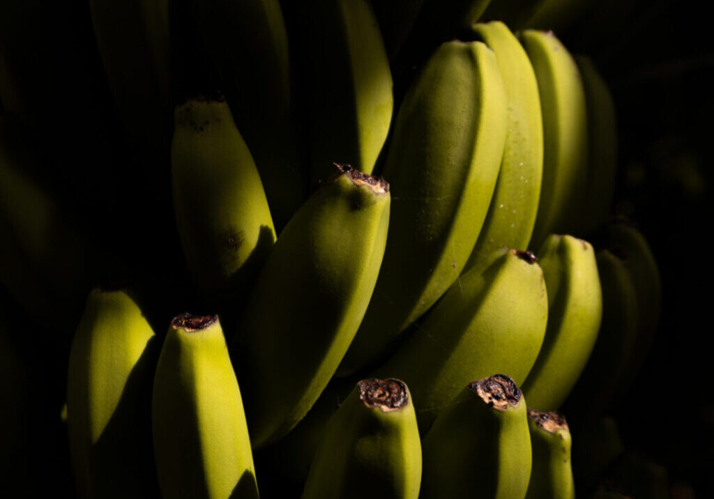 BANANA_FREEPIK