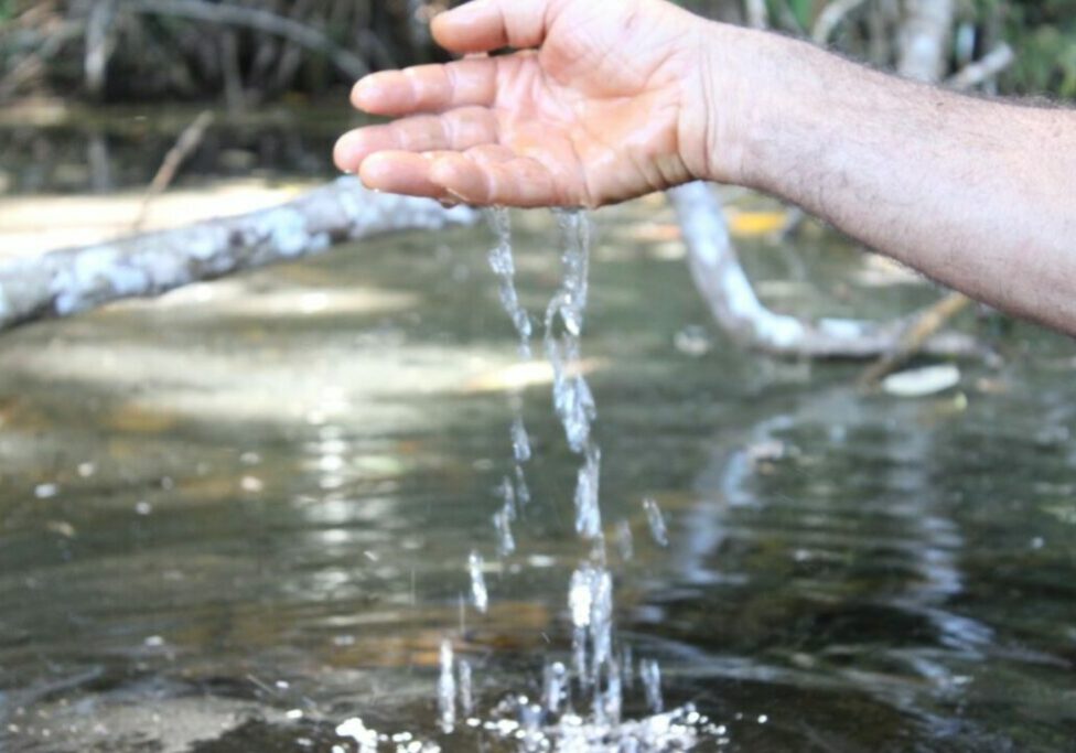 BRFAIR-Mes-do-Comercio-Justo-1