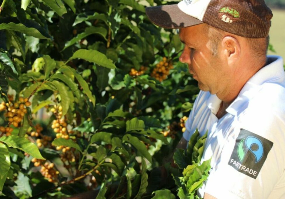 BRFAIR-Mes-do-Comercio-Justo-2