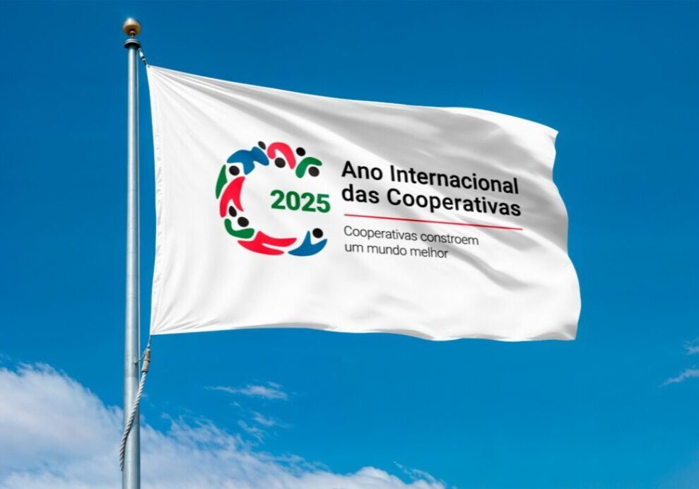 Bandeira do Ano Internacional das Cooperativas - Foto Divulgação