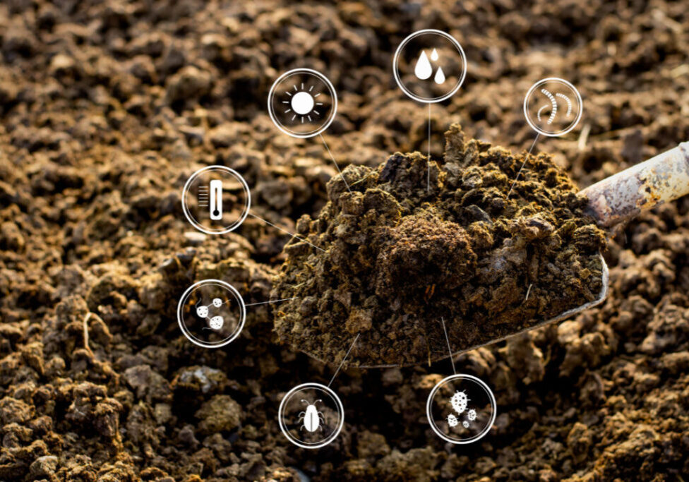 Bioinsumos - Freepik