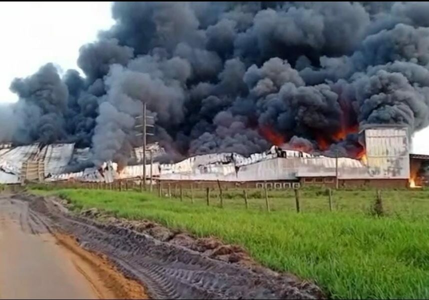 Cacau-show-fogo