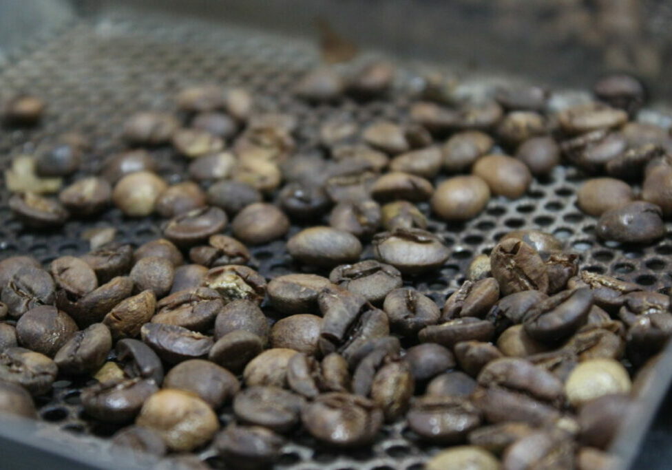 Café - ApasCoffe - São Gonçalo do Sapucaí (MG) (15)