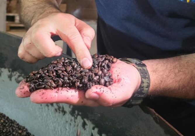 Café irregular - Mapa