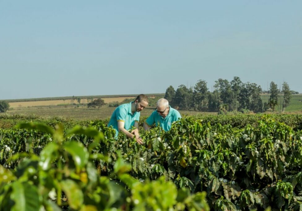 Cafe-regenerativo-sustentavel-Federacao-dos-Cafeicultores-do-Cerrado-