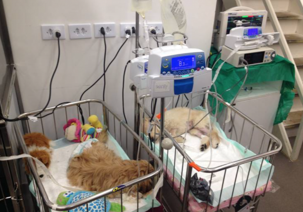 Captura-de-Tela-2020-03-24-às-16.26.30