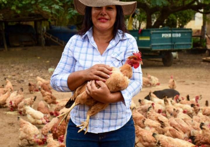 Captura-de-Tela-2020-12-21-as-16.42.16