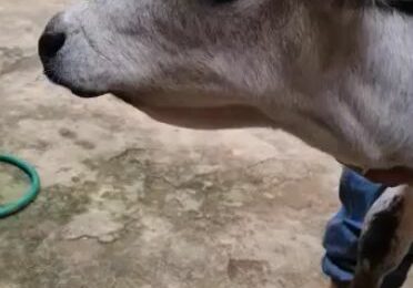 Captura-de-Tela-2022-03-24-as-08.56.07