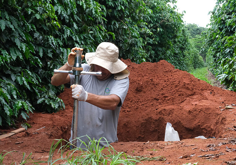 Carbono-neutro-de-cafe