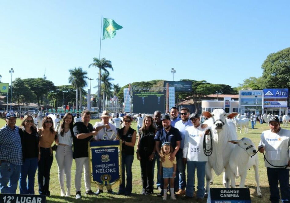 Casa-Branca-faz-a-Grande-Campea-e-e-o-Melhor-Expositor-Nelore-da-88-Expozebu-foto-divulgacao