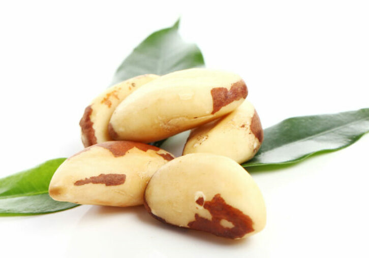 Close up of fresh brazil nuts against white background