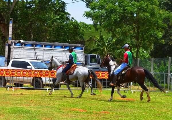 Cavalos Alfredo Chaves