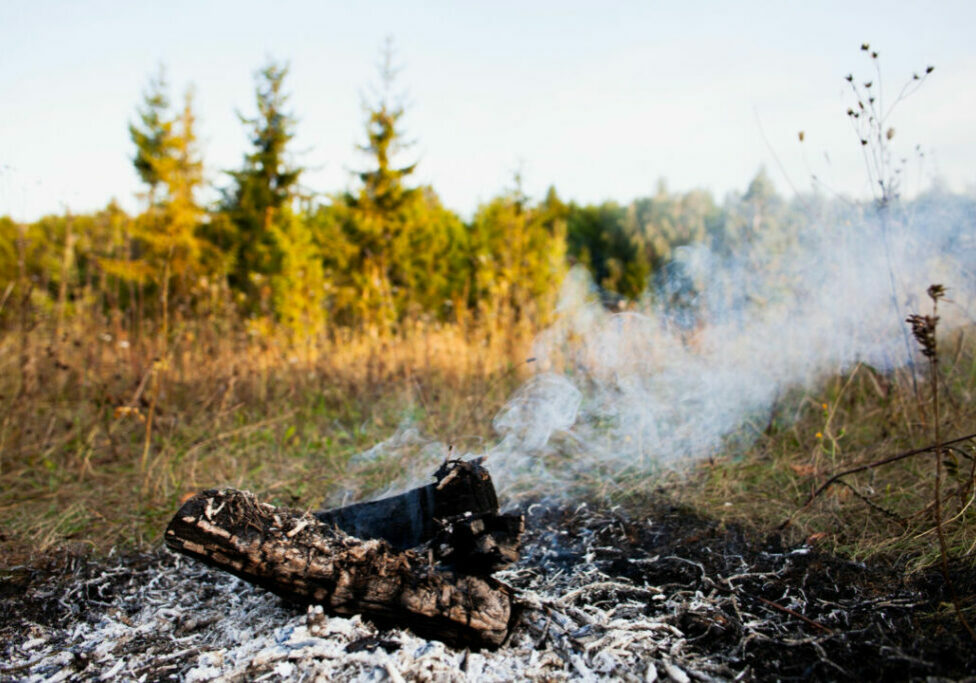 Cerrado - Incêndio - Freepik