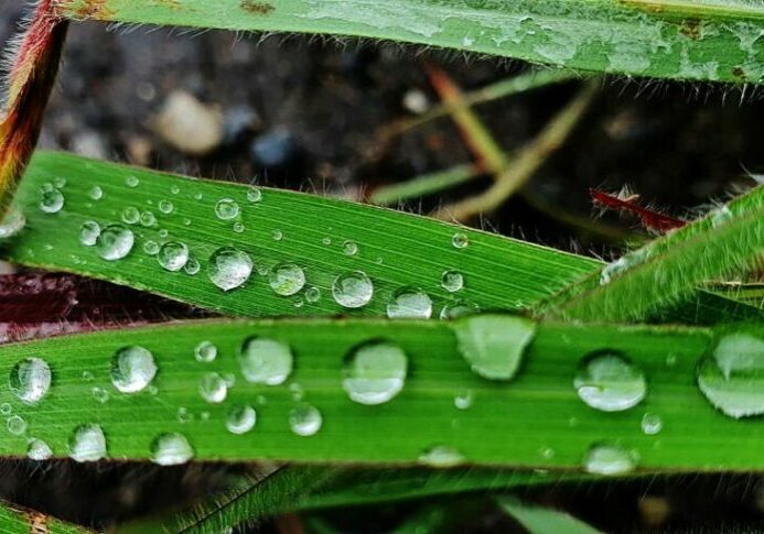 Chuva-no-Centro-Oeste