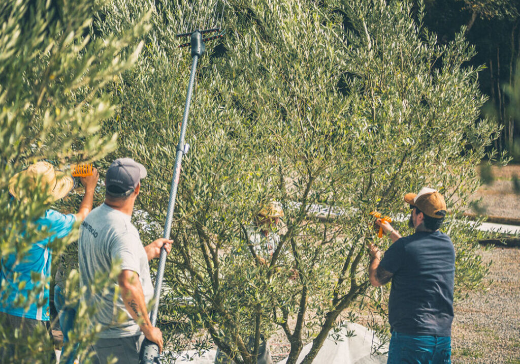 ©sergioazevedophotos 2022