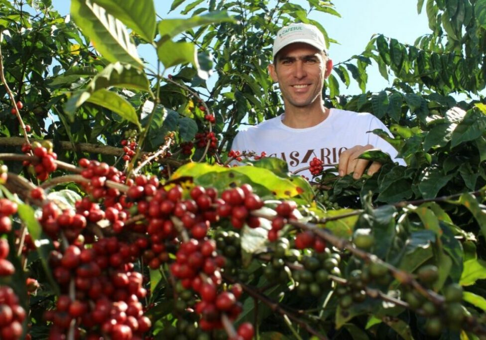 Comercio-Justo-Brasil