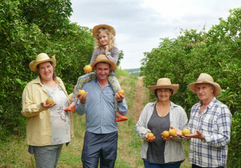 Comercio-Justo-no-Brasil-1