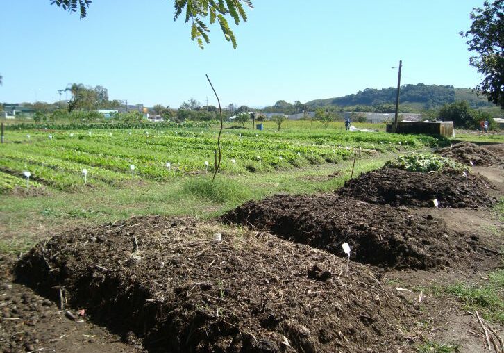 Compostagem-agricola