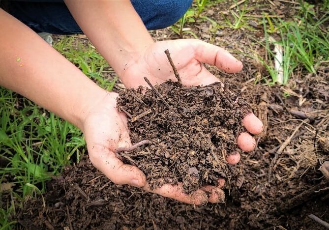 Composteira-34-768x468-1