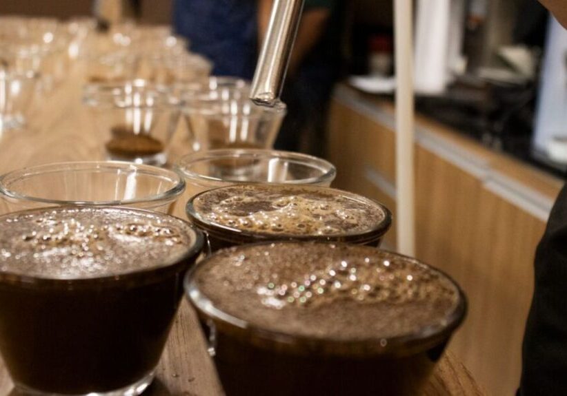 Concurso Conilon de Excelência Cooabriel premia cafés especiais em 2026