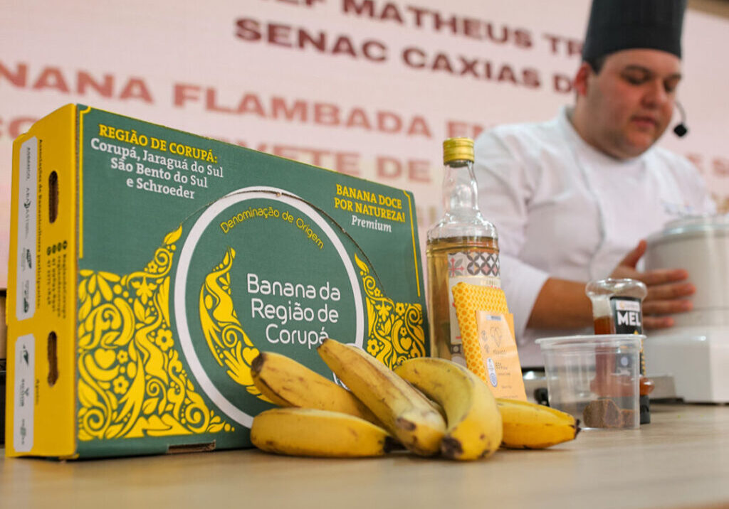 Connection - Anselmo Cunha-105