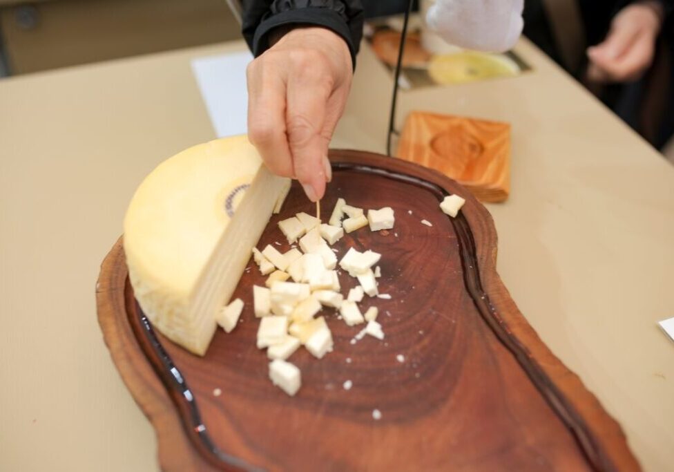 Connection - Anselmo Cunha-203