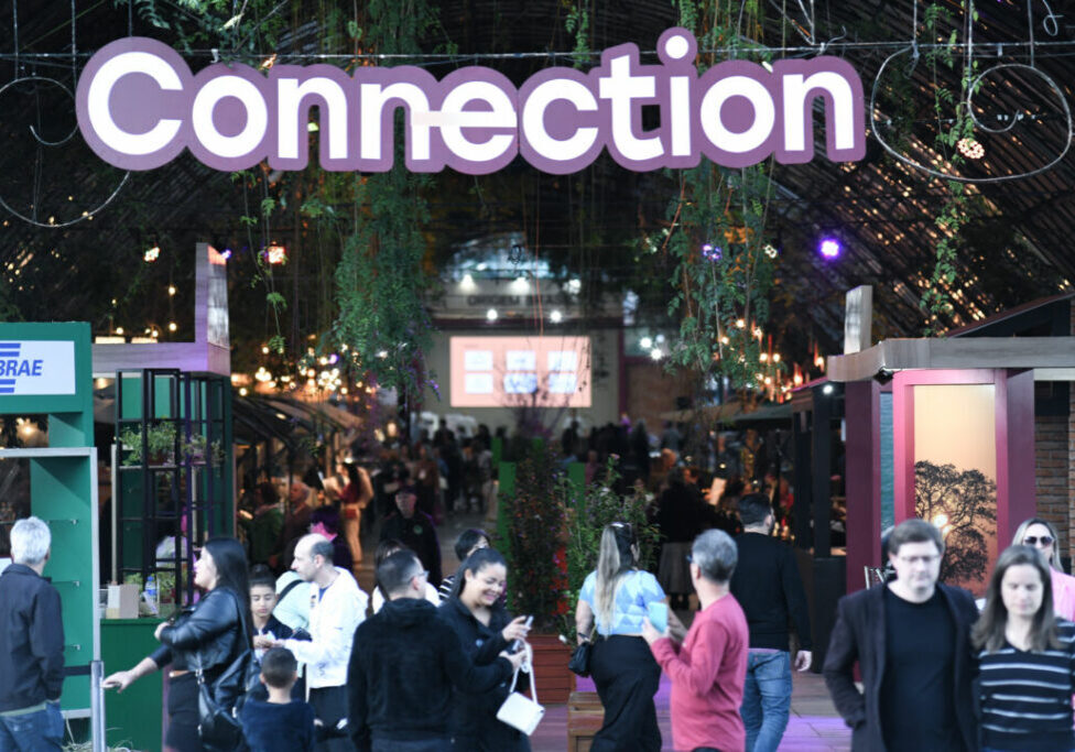 Connection - Rafael Cavalli (4)