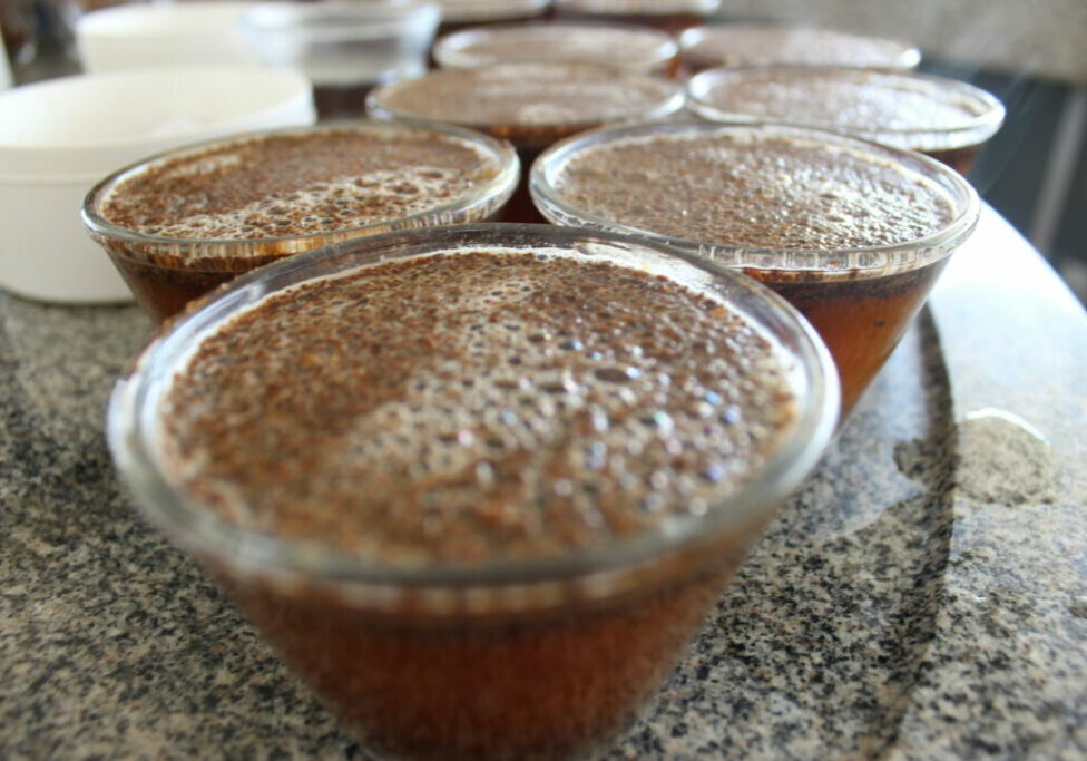 Coocaminas-Poco-Fundo-MG