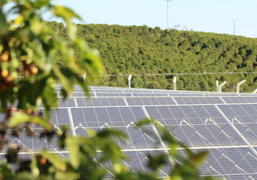 Coopervitae-Nova-Resende-MG-17