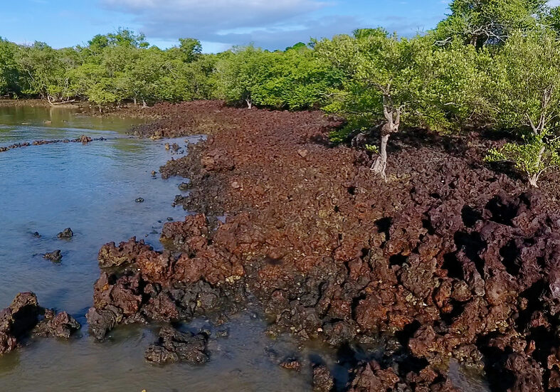 Costa-Espirito-Santo