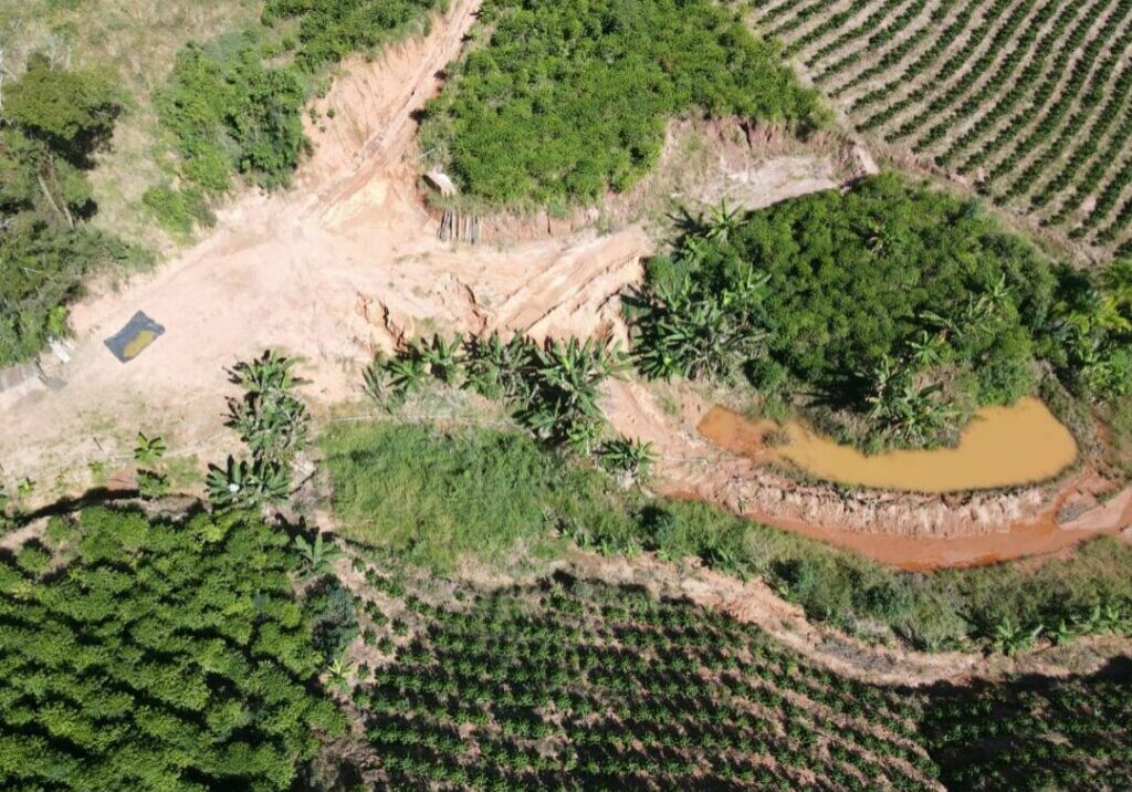 Crime-ambiental