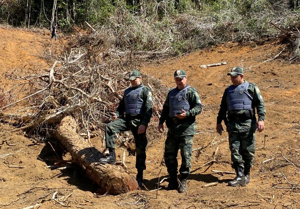 Crime-ambiental-Santa-Teresa