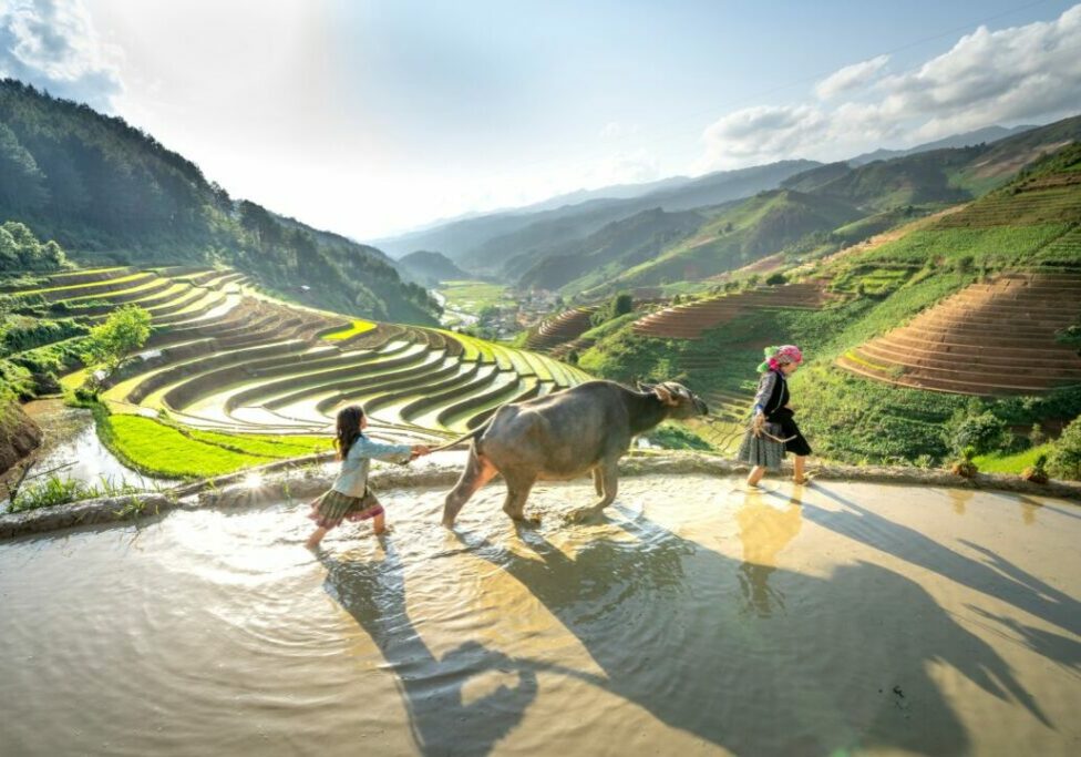 Culture-in-vietnam_divulgacao-internet