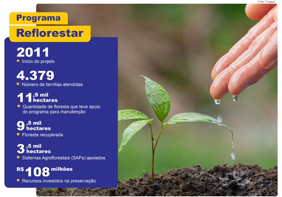 Dados Reflorestar