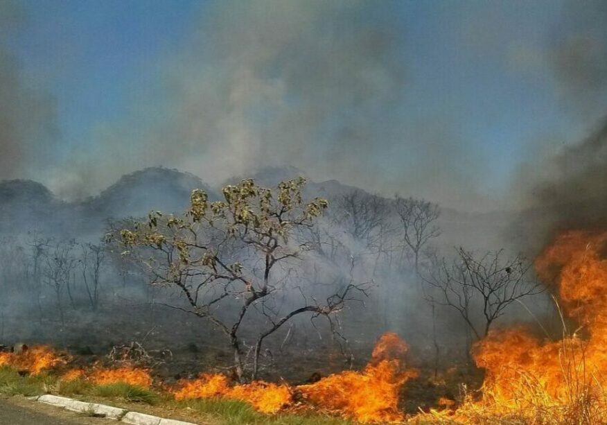 O Cerrado sofre com as queimadas neste período de estiagem,  a baixa umidade no DF no fim de semana levou a Defesa Civil a declarar estado de emergência na capital(Jose Cruz/Agência Brasil)