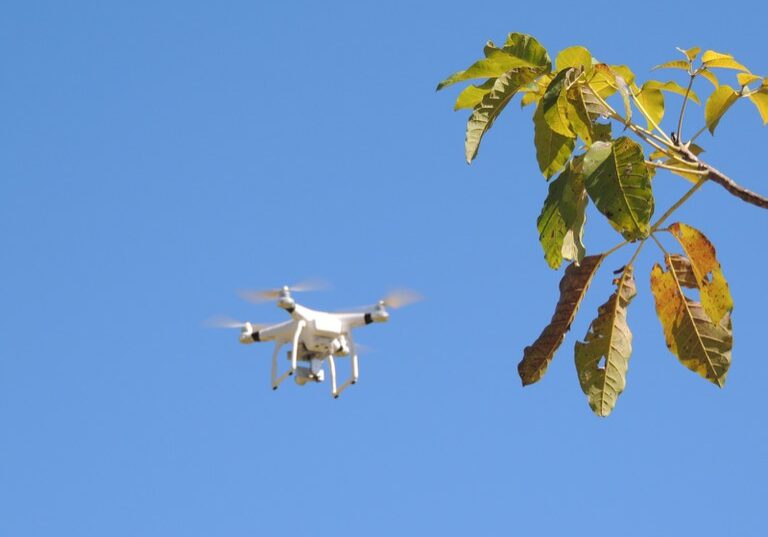 Drone em plantações (2)