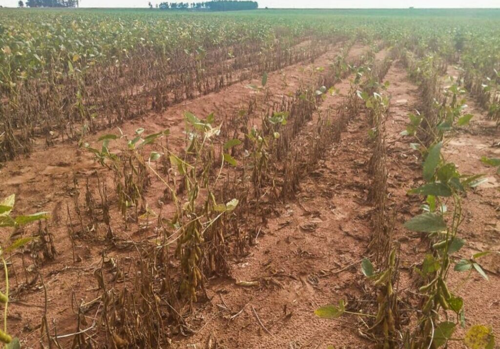 Estiagem em São Paulo