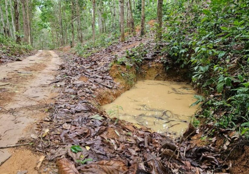 Estradas - Caixa seca - Julio Huber
