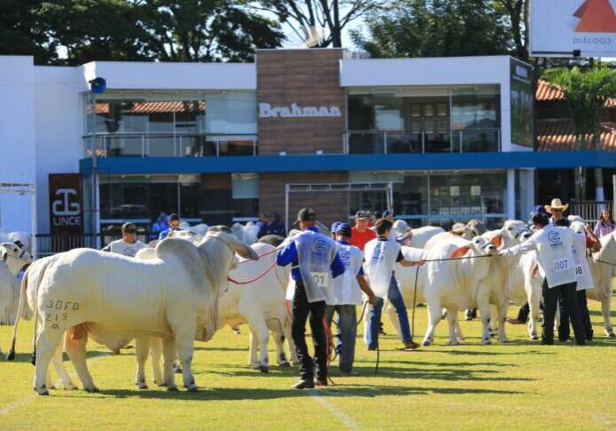 Expobrahman-2021-sera-em-Uberaba