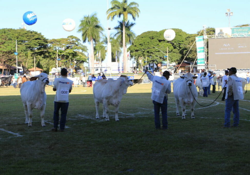 Expobrahman-será-em-Uberaba