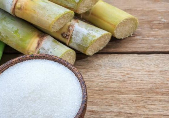 FABRICACAO-DE-ACUCAR-E-ETANOL-A-PARTIR-DA-CANA-DE-ACUCAR