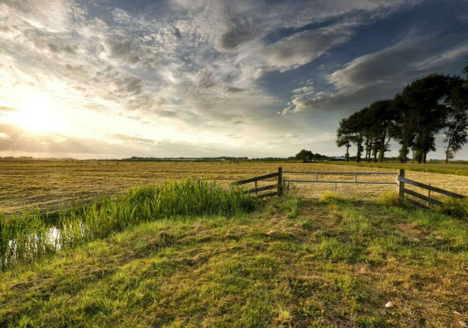 FAZENDA_ENVATO