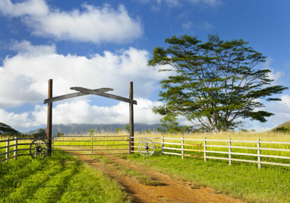 FAZENDA_ENVATO