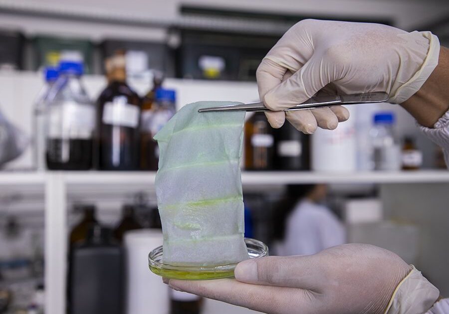 FOTO_EMBRAPA_EMBALAGEM_Foto Matheus Falanga