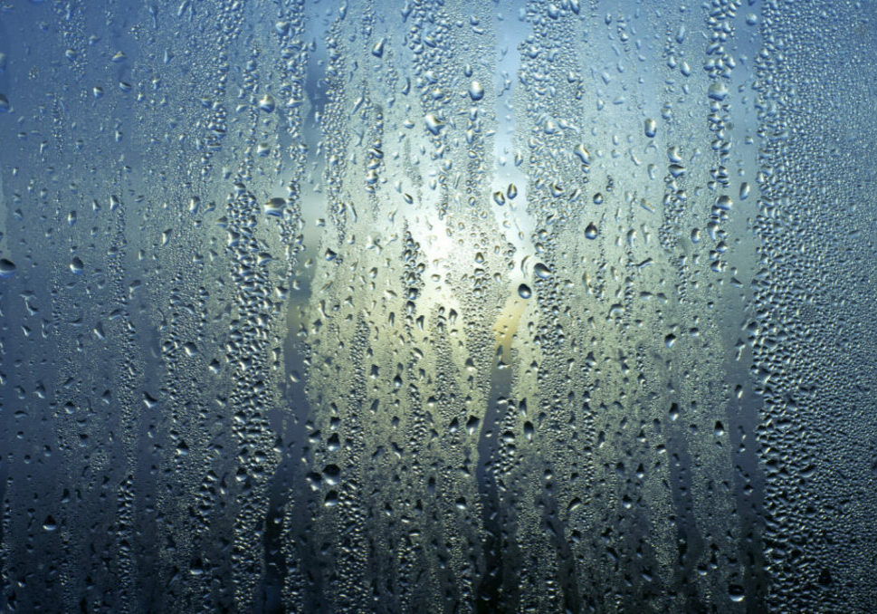 FRIO_FREEPIK-1