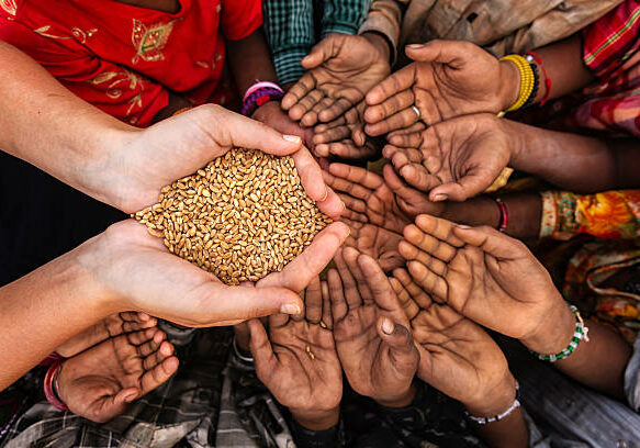 Volunteer caucasian woman giving grain to starving African children. Poor African children keeping their hands up - asking for food. Many African children suffer from poverty - 20% of Africa’s children will die before the age of five.  Every day 30,000 children die from a combination of disease- infested water and malnutrition.