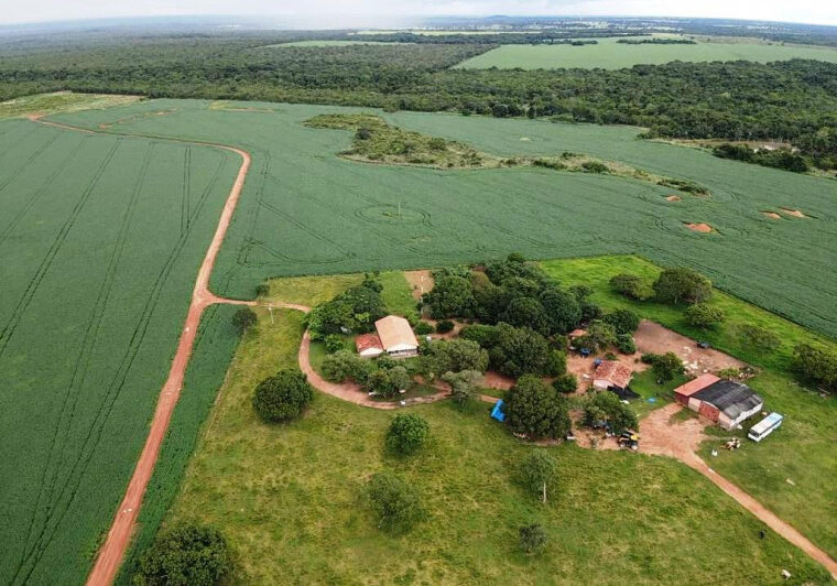 Fazenda-estrela-do-norte