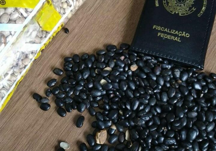 Feijao-adulterado