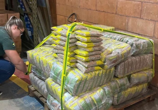 Feijão e arroz irregular