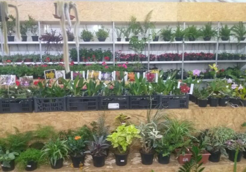 Feira-Empresarial-de-Marechal-Floriano